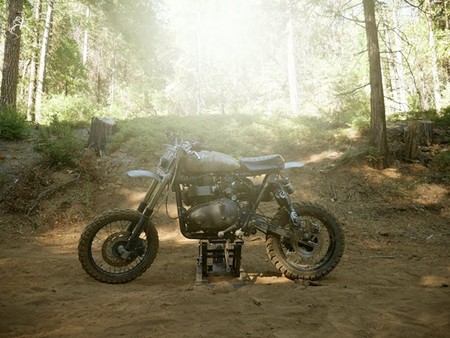 Triumph Scrambler Desert Sled 9