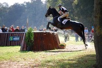 Los 15 principales obstáculos para los negocios