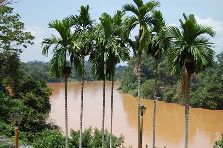 Visitando Malasia, dos días en la selva de Taman Negara
