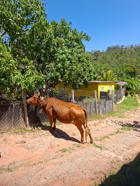 Crédito de imagem: Xataka Brasil