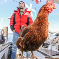 La historia del hombre que dio la vuelta al mundo... con una gallina 