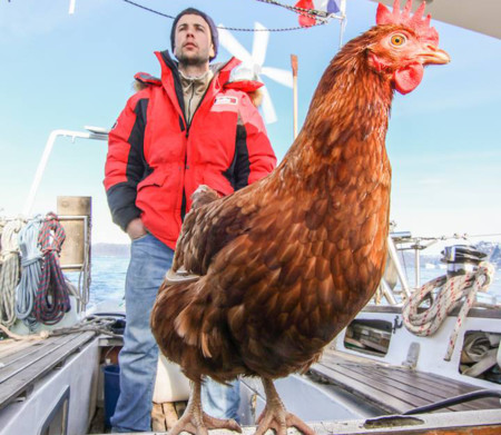 La historia del hombre que dio la vuelta al mundo... con una gallina