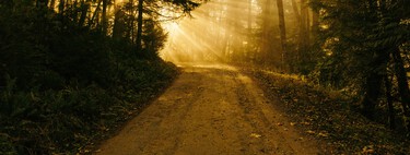 Moverte más nunca ha sido tan sencillo: introduce estas seis estrategias en tu día a día y aumentarás tu actividad física sin darte cuenta 