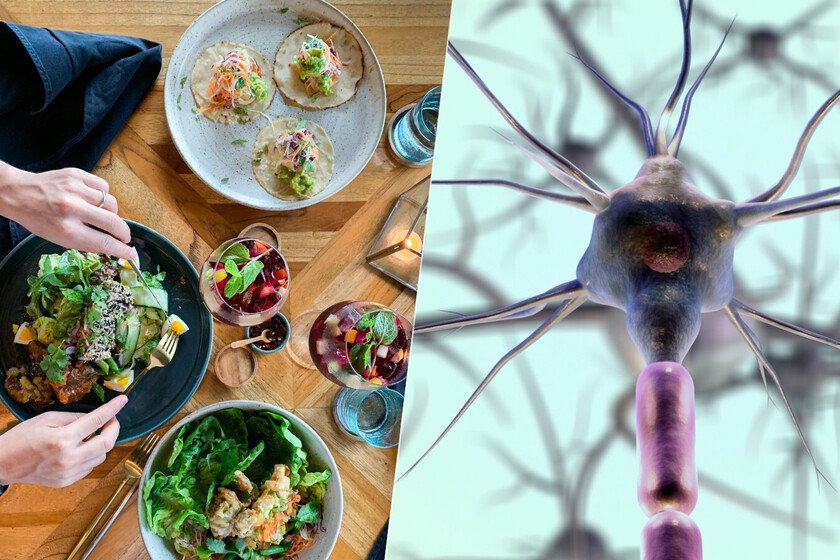 Cada vez sabemos más sobre por qué tenemos hambre o sed. Y el principal sospechoso es nuestro cerebro