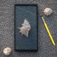 Samsung Galaxy Note 9 Dual SIM de 128GB por sólo 589 euros en eBay 