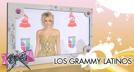 Los Grammy Latinos 2011: modelitos van y vienen