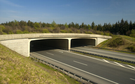 Istock 184061612 Easy Resize Com