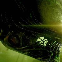 Alien Earth ya es parte del universo xenomorfo: así queda el orden cronológico oficial de la saga con la nueva serie de Disney+