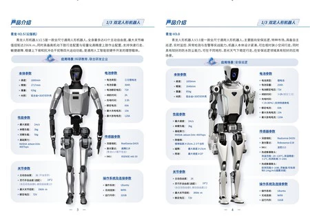 Robots Humanoides China