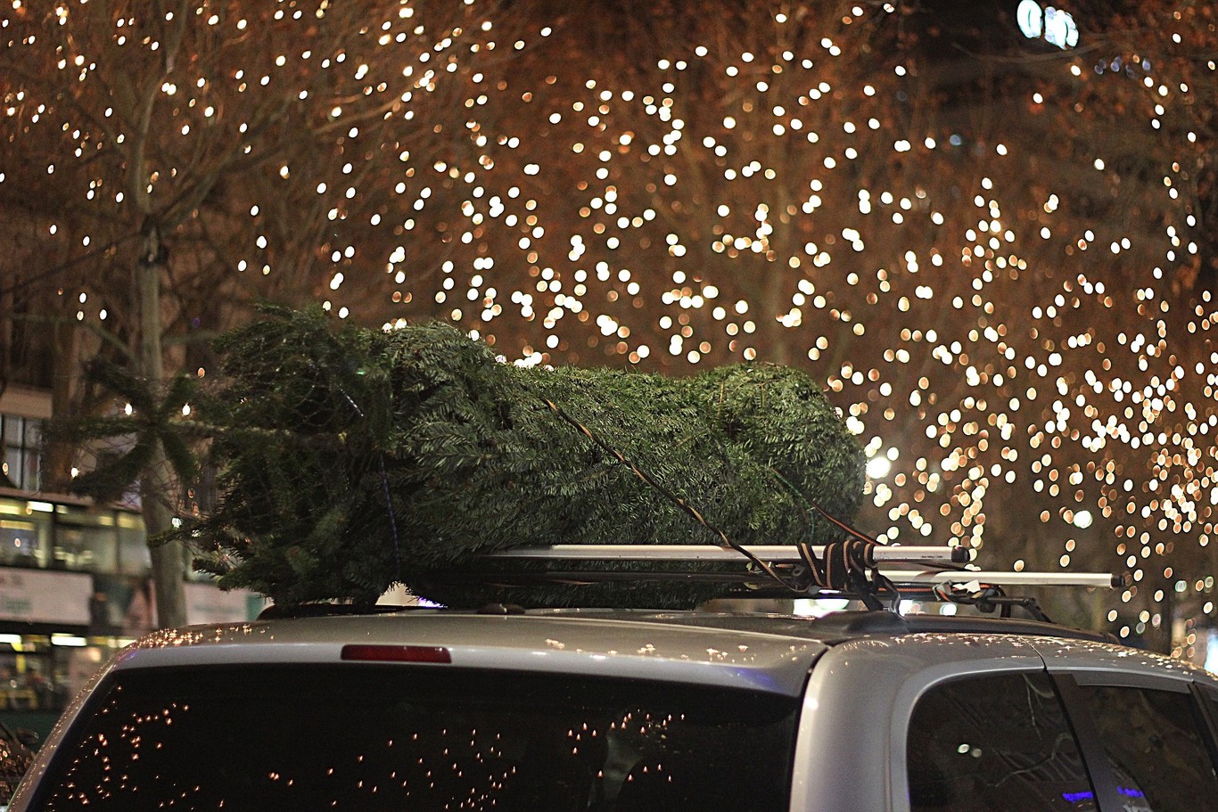 Transportar un árbol de Navidad en el auto puede ser peligroso, por eso te damos estos consejos para hacerlo de manera segura