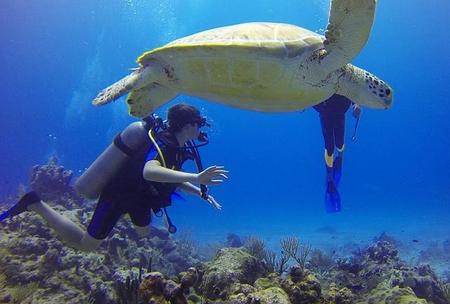 Diver 549380 640