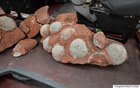 ¿Dónde está la mayor colección de huevos de dinosaurio del mundo?