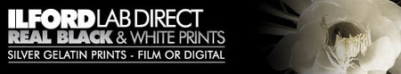 Ilford Lab Direct, para revelar en blanco y negro online