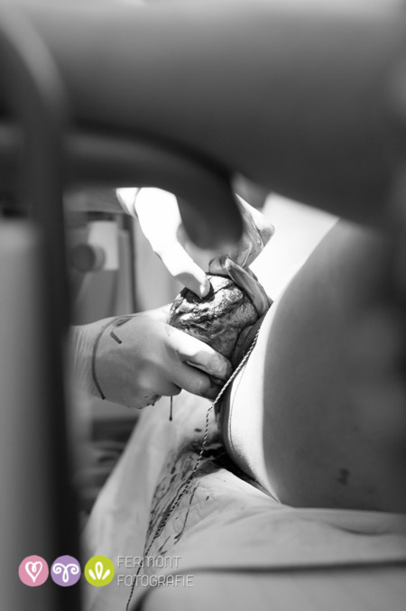 004 Head Born Fermont Fotografie