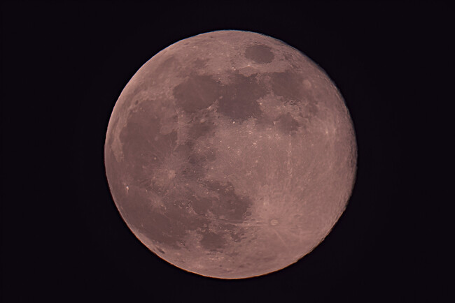 Pink Moon April 2025