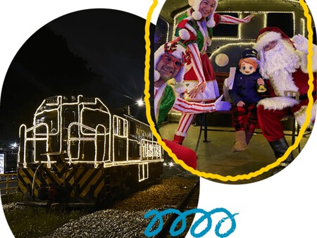 Tren De La Sabana Navidad 3