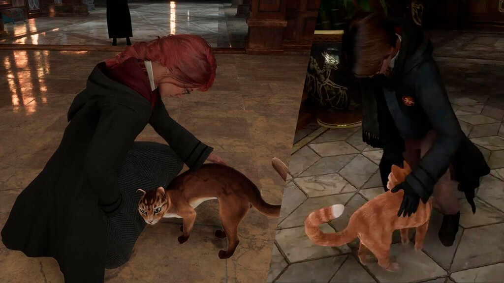 Hogwarts Legacy: los desarrolladores crean una medida contra los maltratadores de gatos, pero tiene truco Hogwarts Legacy: los desarrolladores crean una medida contra los maltratadores de gatos, pero tiene truco