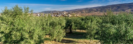 Apuntar a los distribuidores de los problemas del campo no es una buena idea