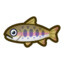 Japanese Salmon