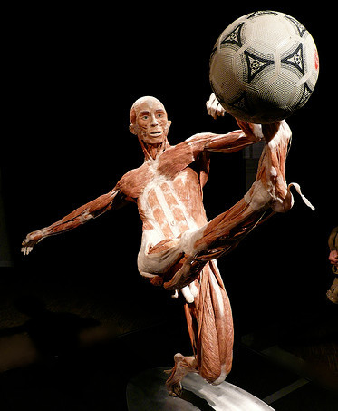 El cuerpo, como un automóvil