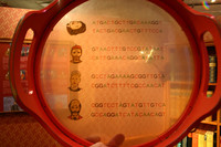 En una inspección fiscal la duración del procedimiento sólo se interrumpe si la AEAT no puede continuar investigando 