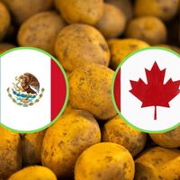 México quiere dejar de depender de EE.UU. y han dado un primer paso para lograrlo: comprarle papas a Canadá 
