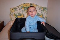 Viajar con niños: playa, ciudad, campo y montaña