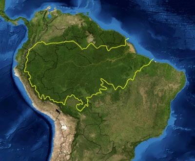 Éste es el impresionante tamaño que tiene la mayor selva tropical