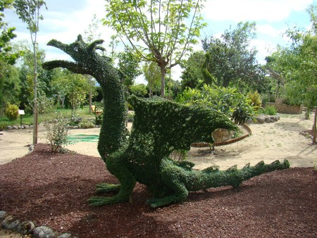 El Bosque Encantado 6