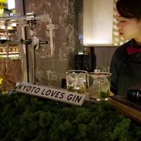 La vuelta al mundo en 80 días... probando ginebras 