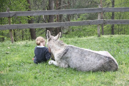 Canciones populares infantiles: 'A mi burro'