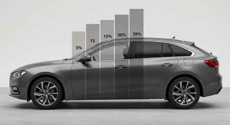 Vidrios Oscurecidos 4