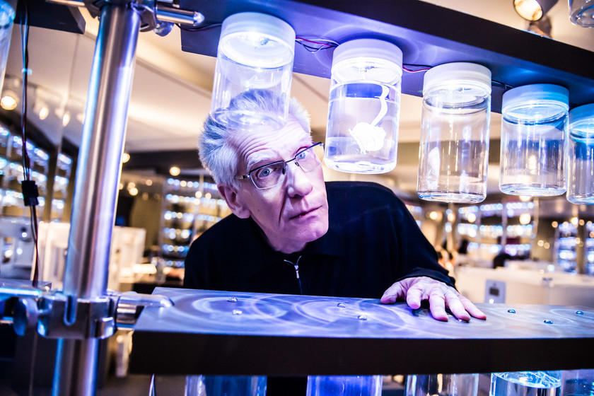 Netflix hará una serie con la primera novela de David Cronenberg y estas son las posibilidades de que sea una gran adaptación