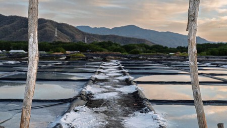 Este es el destino de México donde se produce el tesoro de la cocina conocido como el “oro blanco”