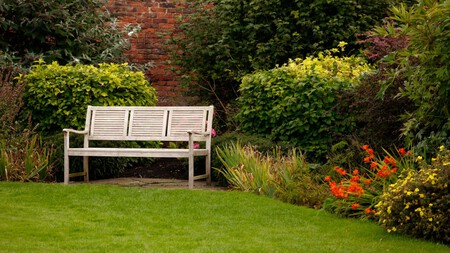 5 plantas perfectas para acabar con los escorpiones en el jardín