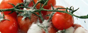 Si un alimento tiene moho, no te lo comas: por qué no basta con quitar la parte mala de las frutas y otros alimentos 