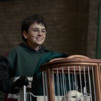 La serie de Harry Potter revela cuántos episodios tendrá su primera temporada y confirma cómo adaptará La piedra filosofal 