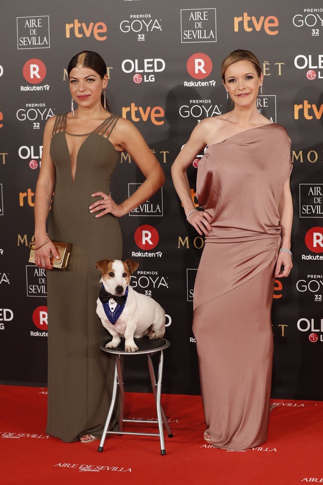Goyas 2018 2