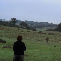 Últimos días para ver en Netflix una adaptación literaria imprescindible. La película que mejor retrató la España rural de la posguerra