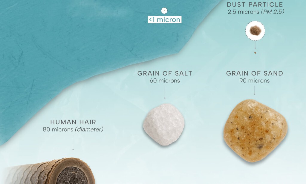 El verdadero tamaño de los microplásticos que pueblan nuestra vida, expuesto en este inquietante gráfico