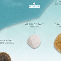 El verdadero tamaño de los microplásticos que pueblan nuestra vida, expuesto en este inquietante gráfico