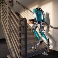 Digit, el robot que facilitará las entregas de paquetes y que ya está a la venta