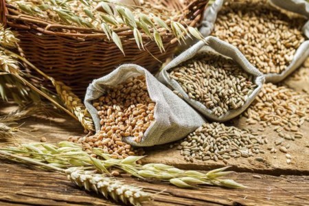 La ingesta de fibra dietética mejora el envejecimiento según un estudio