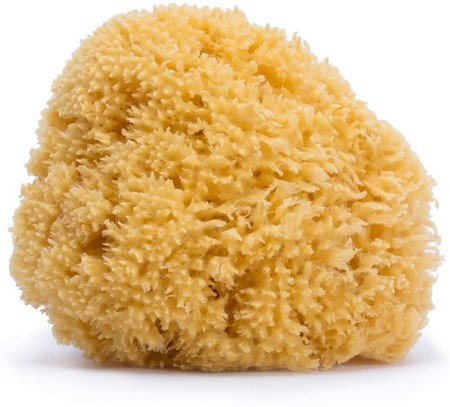 esponja