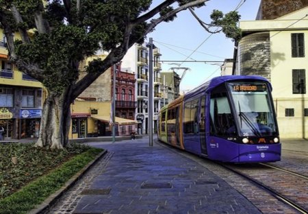 El tranvía con descuentos y promociones en más de 800 comercios de Tenerife