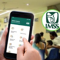 Tarjetón Digital del IMSS: qué es, para qué sirve y quiénes pueden consultarlo 