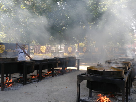 Gran Judiada Fiestas De San Luis