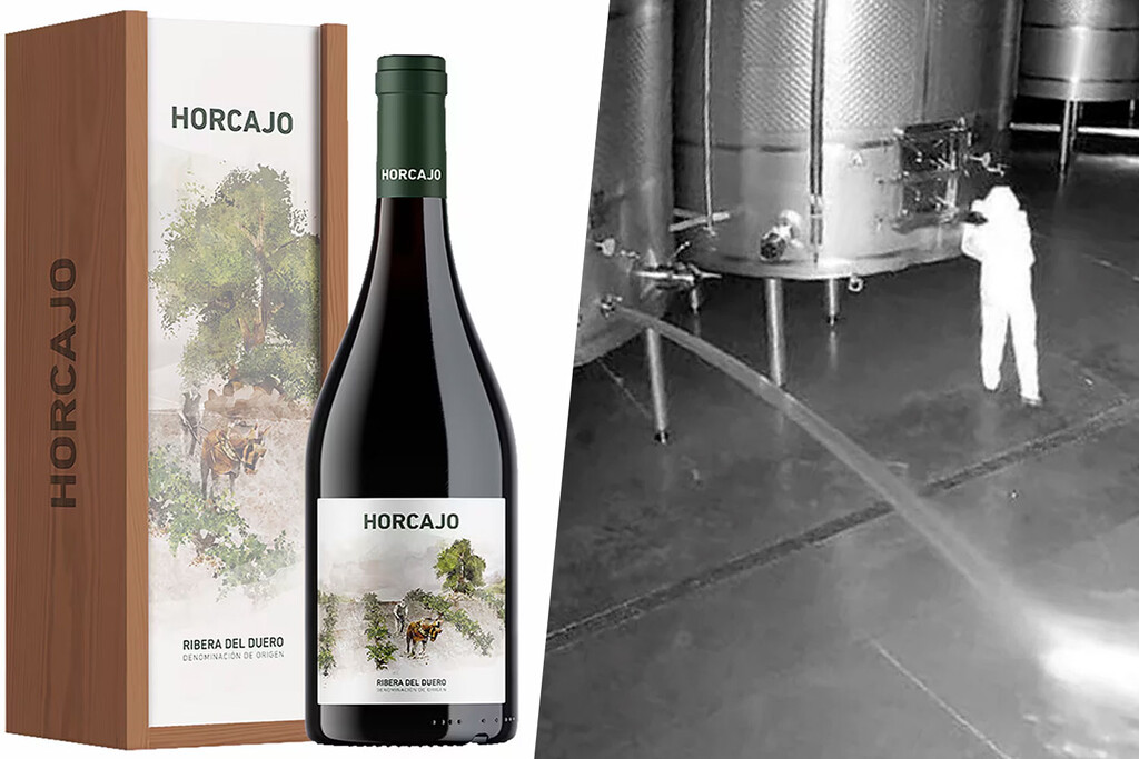 Tras ser despedida, la ex-empleada de una bodega aplicó una venganza extrema: derramar 60.000 litros de su mejor vino