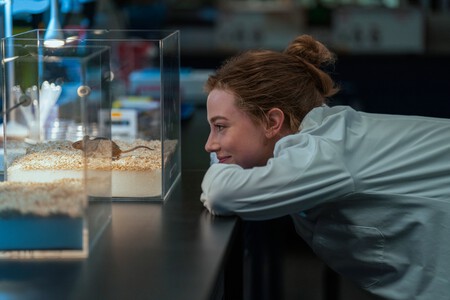 La Hipotesis Del Amor Pelicula Prime Video Basada Novela Romantica 2