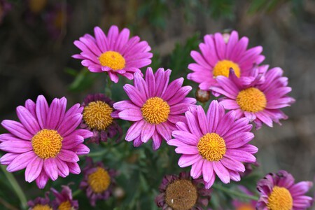 Photo 1741611091837 D1c25ed2b052